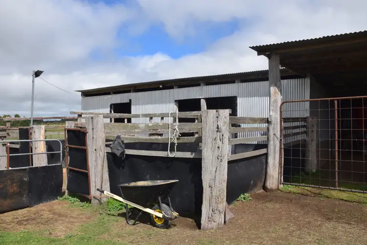 Third view of Homely rural property listing, 3713 Thunderbolts Way, Uralla NSW 2358