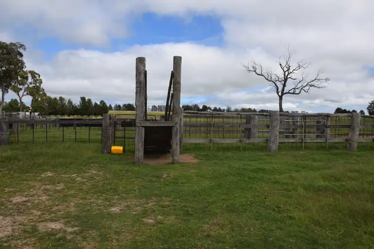 Fourth view of Homely rural property listing, 3713 Thunderbolts Way, Uralla NSW 2358