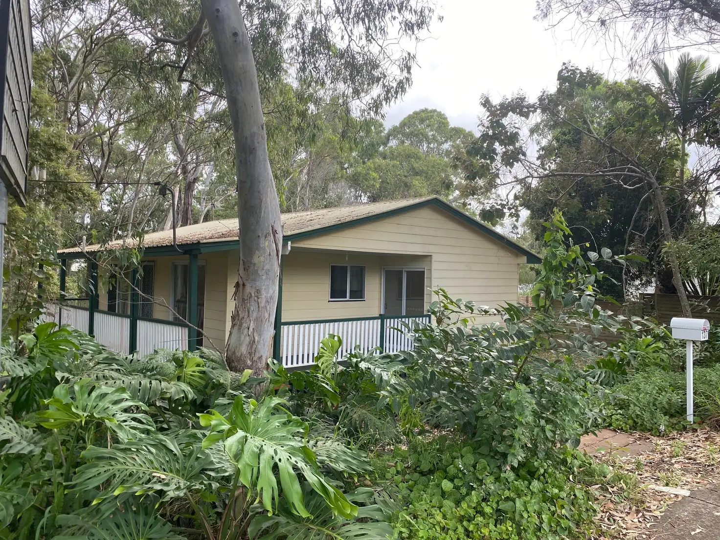 Main view of Homely house listing, 137 High Central Rd, Macleay Island QLD 4184