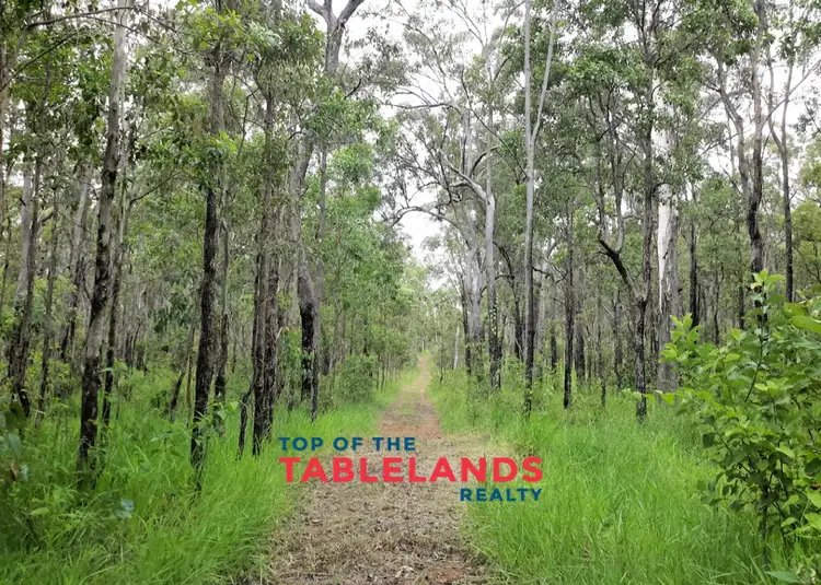 Main view of Homely rural property listing, 1081 Wooroora Rd, Millstream QLD 4888