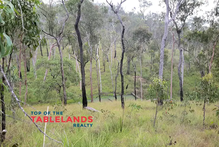 Second view of Homely rural property listing, 1081 Wooroora Rd, Millstream QLD 4888
