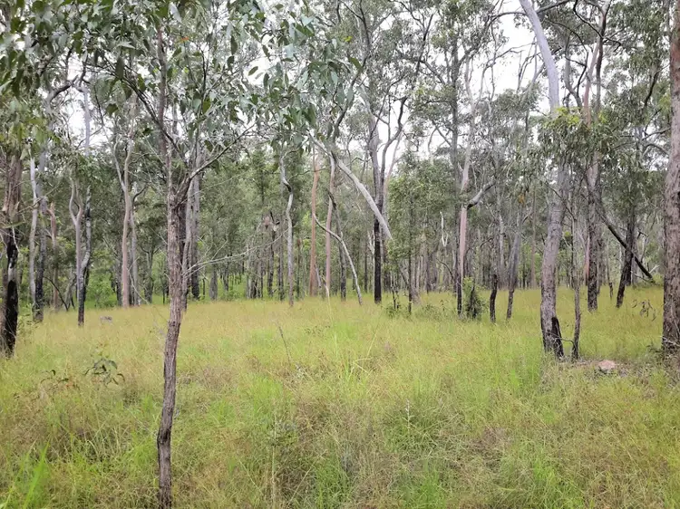 Seventh view of Homely rural property listing, 1081 Wooroora Rd, Millstream QLD 4888
