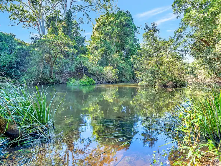 Second view of Homely rural property listing, 1604 Orara Way, Glenreagh NSW 2450