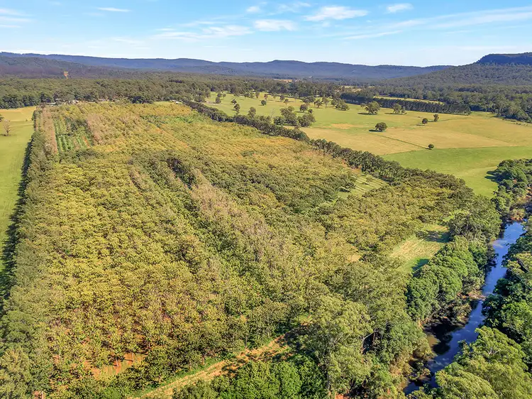Fourth view of Homely rural property listing, 1604 Orara Way, Glenreagh NSW 2450