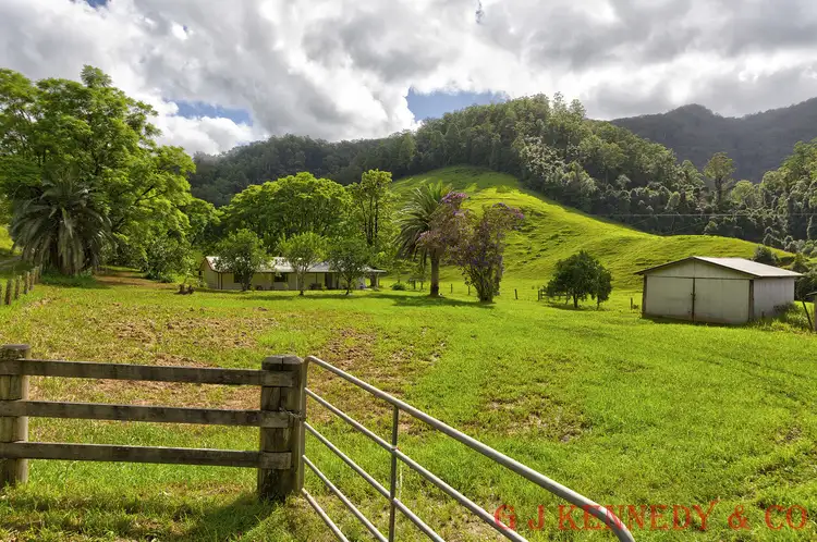Second view of Homely house listing, 5486 Taylors Arm Rd, Thumb Creek NSW 2447