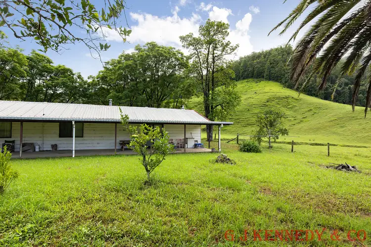 Fourth view of Homely house listing, 5486 Taylors Arm Rd, Thumb Creek NSW 2447