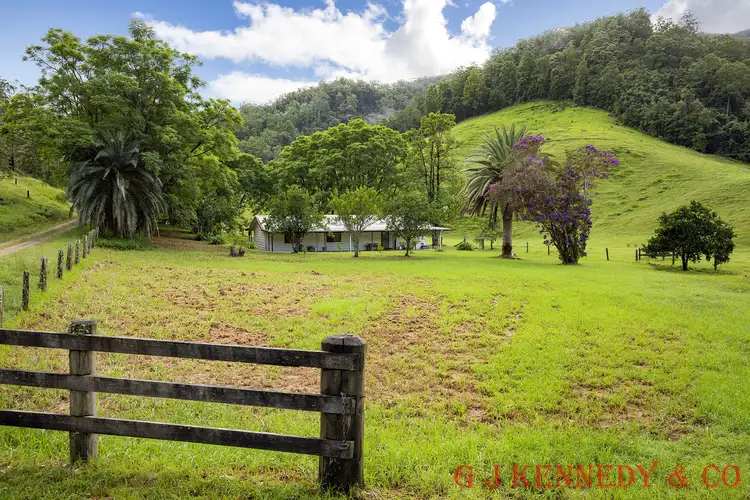 Seventh view of Homely house listing, 5486 Taylors Arm Rd, Thumb Creek NSW 2447