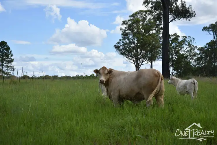 195 Old Coach Rd, Oakhurst QLD 4650