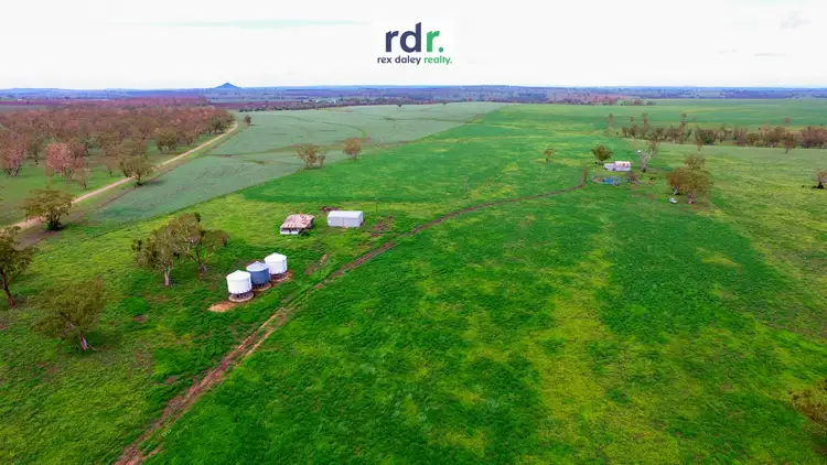 Sixth view of Homely rural property listing, 874 Gournama Road, Warialda NSW 2402