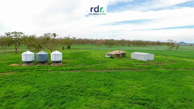 Seventh view of Homely rural property listing, 874 Gournama Road, Warialda NSW 2402