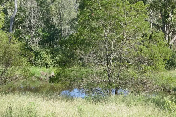 Fifth view of Homely rural property listing, Lot 50 Hills Gate Road, Upper Tooloom NSW 2475