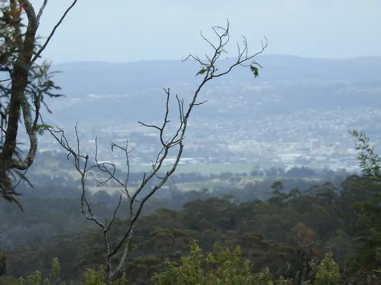 Main view of Homely rural property listing, 887 Lilydale Rd, Underwood TAS 7268