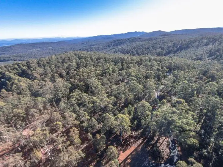 Fourth view of Homely rural property listing, 887 Lilydale Rd, Underwood TAS 7268
