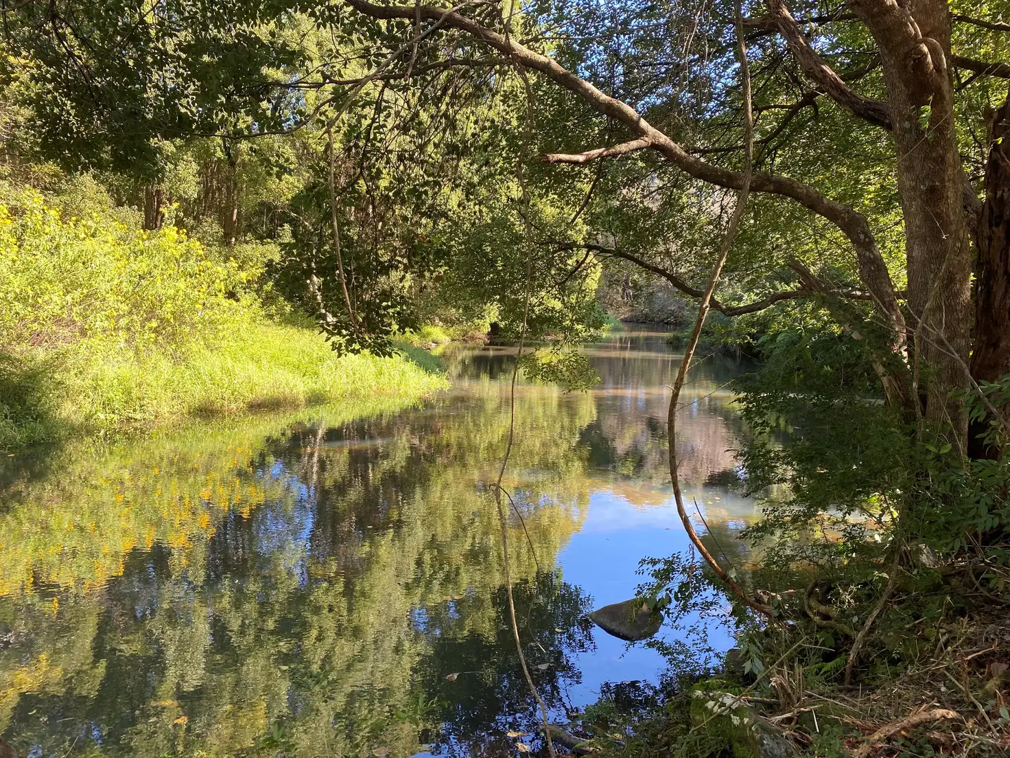 Main view of Homely house listing, 1418 Eltham Rd, Teven NSW 2478