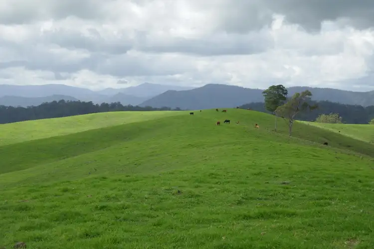 Fourth view of Homely rural property listing, 429 Wyndham Creek Road, Kyogle NSW 2474