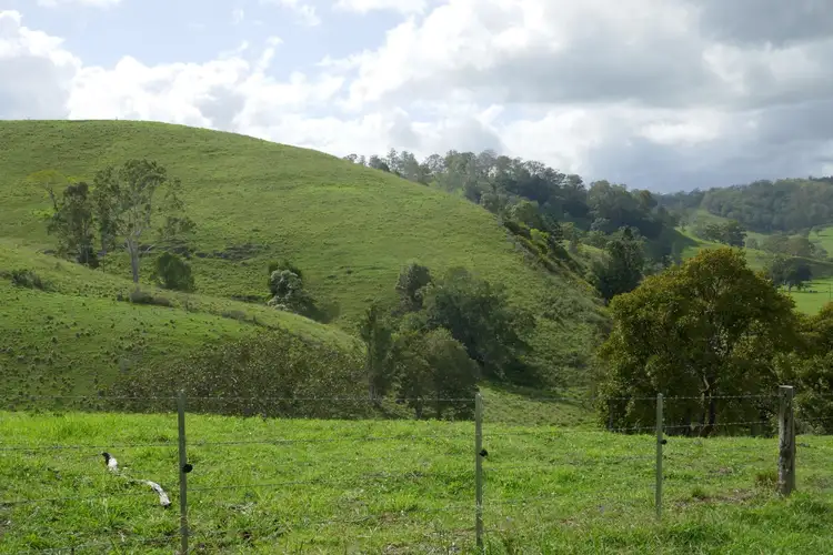 Fifth view of Homely rural property listing, 429 Wyndham Creek Road, Kyogle NSW 2474