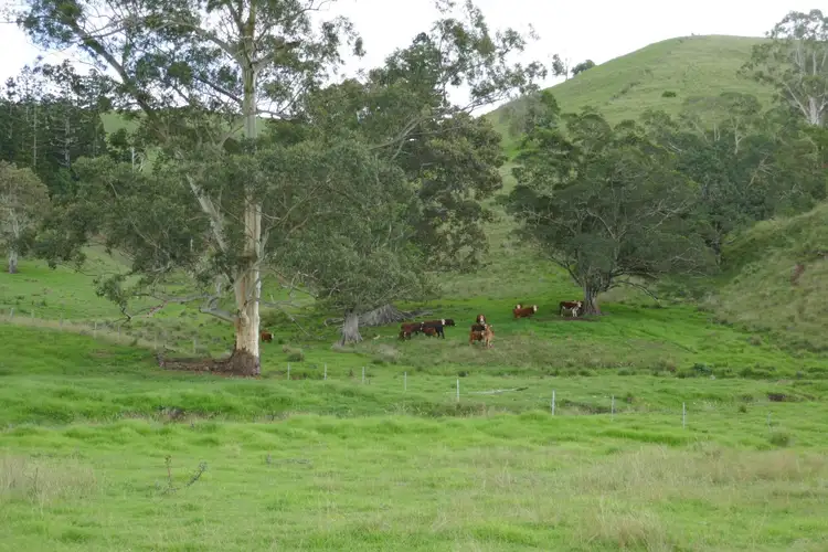 Sixth view of Homely rural property listing, 429 Wyndham Creek Road, Kyogle NSW 2474