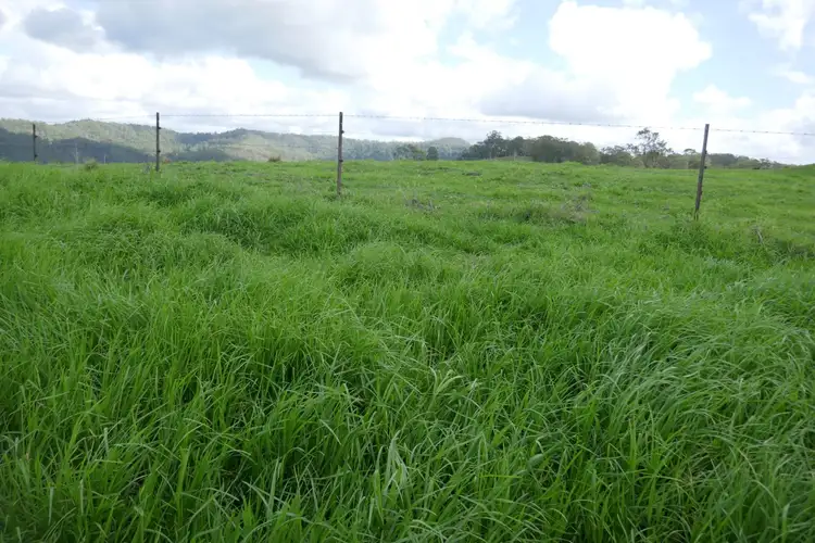 Seventh view of Homely rural property listing, 429 Wyndham Creek Road, Kyogle NSW 2474