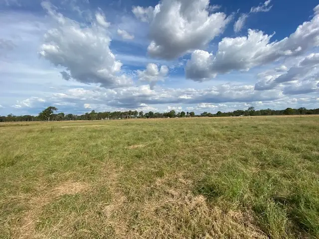 Sixth view of Homely rural property listing, 29-51 Turnbull Road, Thagoona QLD 4306