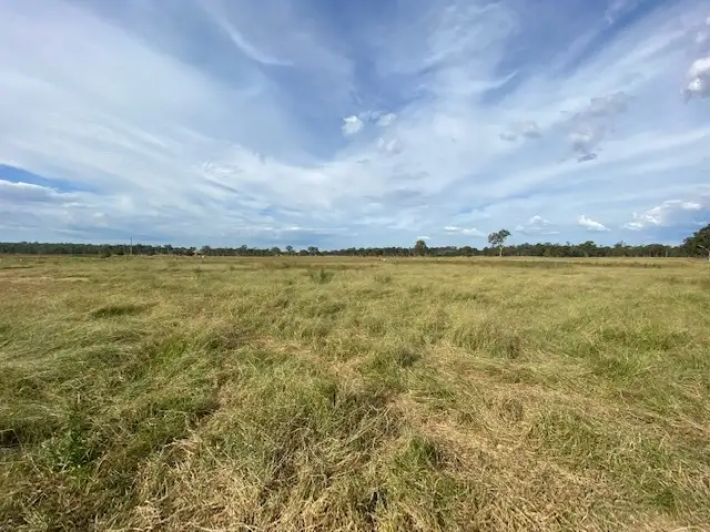 Seventh view of Homely rural property listing, 29-51 Turnbull Road, Thagoona QLD 4306