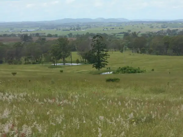 Main view of Homely rural property listing, 149 Redgate Rd, Redgate QLD 4605