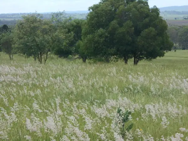 Fourth view of Homely rural property listing, 149 Redgate Rd, Redgate QLD 4605