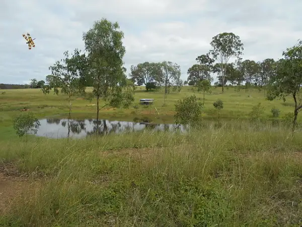 Seventh view of Homely rural property listing, 149 Redgate Rd, Redgate QLD 4605
