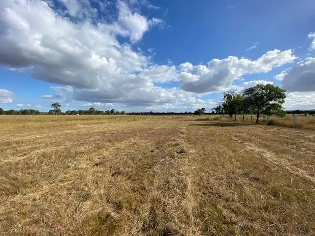 Seventh view of Homely rural property listing, 77-99 Turnbull Road, Thagoona QLD 4306