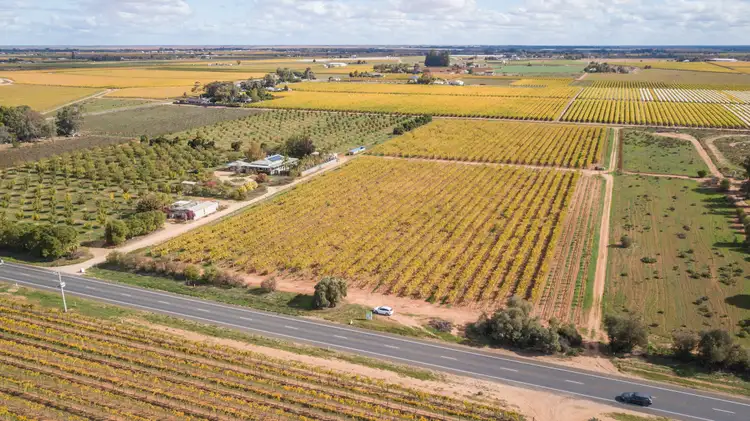 Second view of Homely rural property listing, Lot 3/211 Main Ave S, Merbein VIC 3505