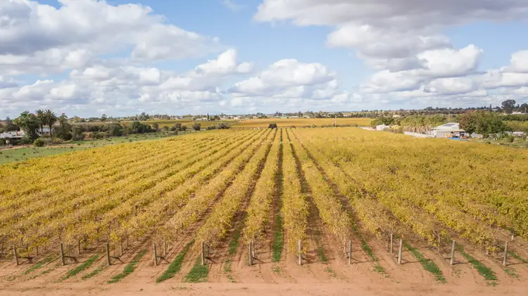 Fourth view of Homely rural property listing, Lot 3/211 Main Ave S, Merbein VIC 3505