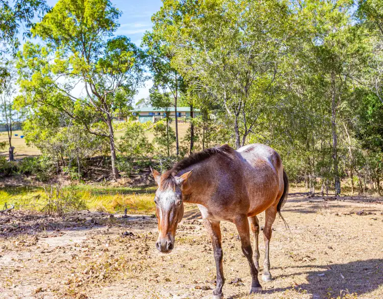 Third view of Homely house listing, 13 Heritage Lane, Southside QLD 4570