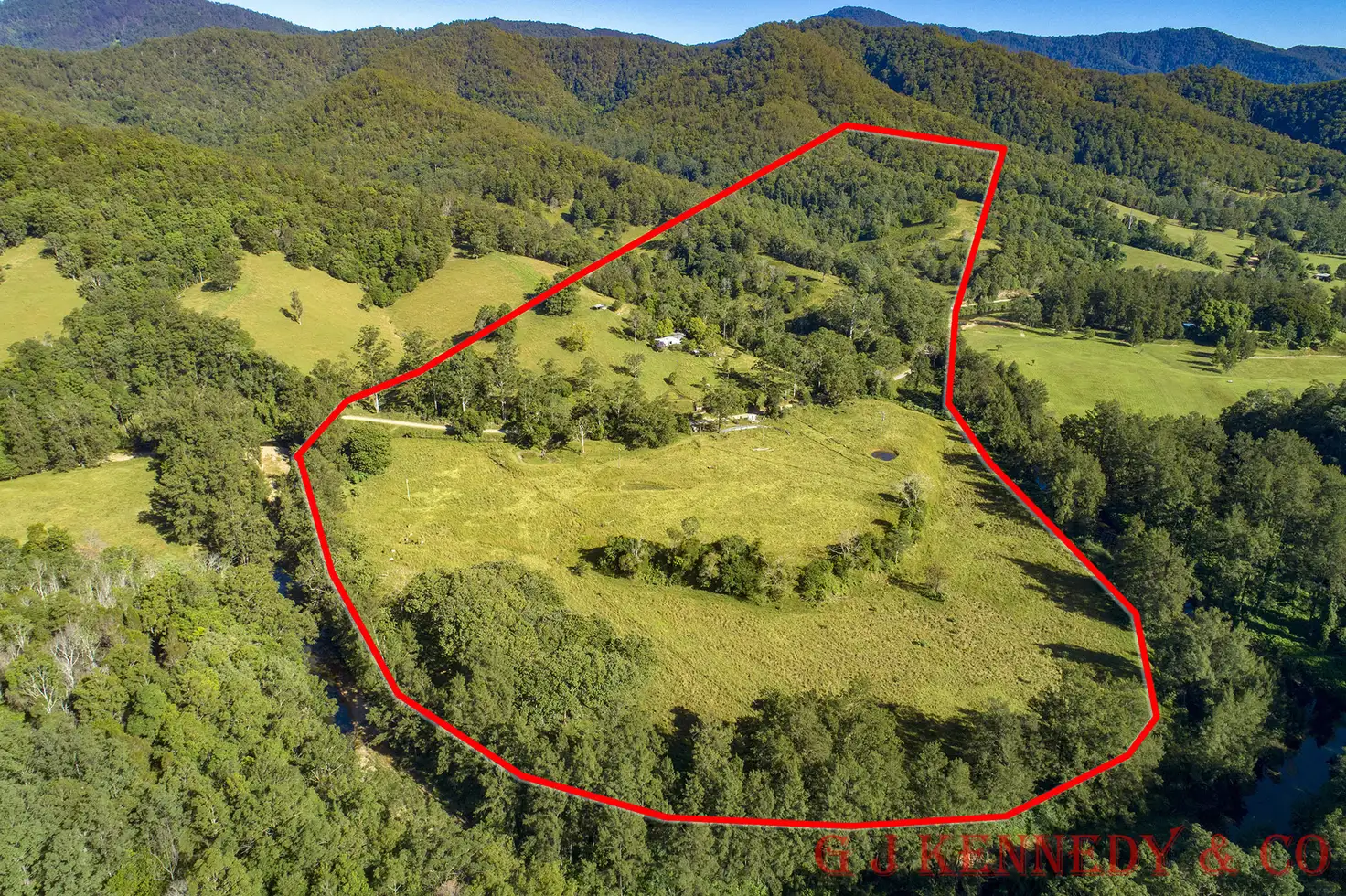 Main view of Homely house listing, 4319 Taylors Arm Rd, Burrapine NSW 2447