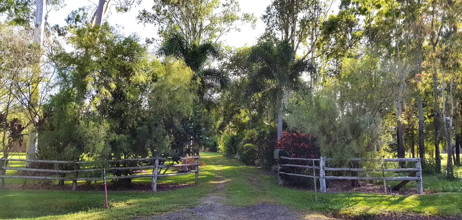Main view of Homely rural property listing, 562 Ellerbeck Rd, Carruchan QLD 4816