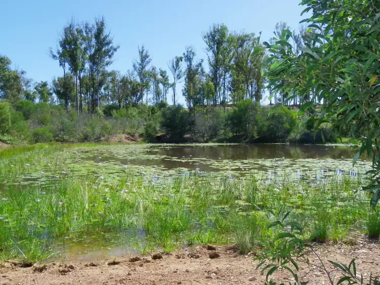 Fourth view of Homely rural property listing, 197 Mary View Dr, Yengarie QLD 4650