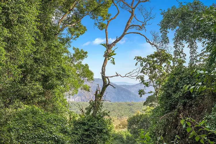 Second view of Homely house listing, 271 Goonengerry Mill Rd, Goonengerry NSW 2482
