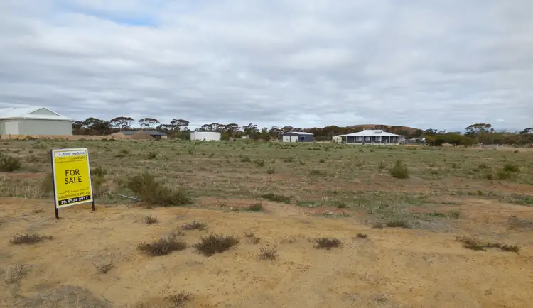 6 Whitfield Way, Merredin WA 6415