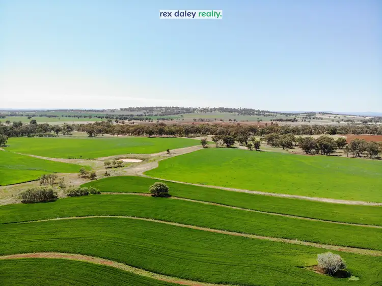 Second view of Homely rural property listing, 717 Rob Roy Road, Inverell NSW 2360