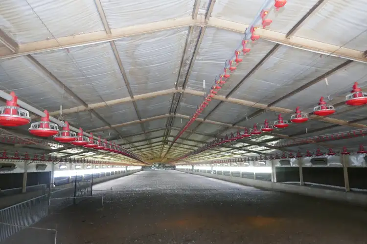 Third view of Homely rural property listing, 320 Mcdonalds Bridge Rd, Stratheden NSW 2470