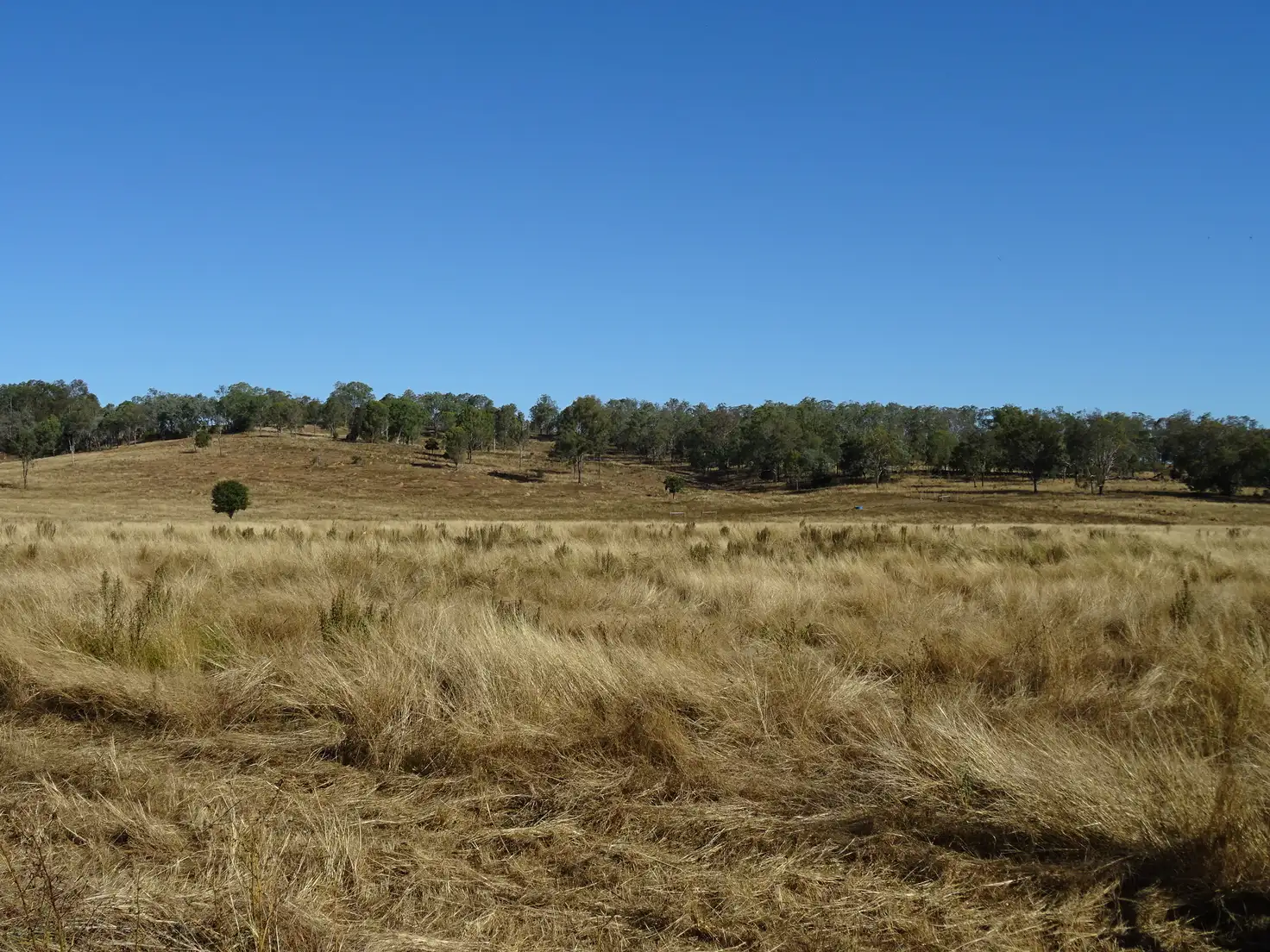 Main view of Homely rural property listing, Lot 30 Schneider Road, Coulson QLD 4310