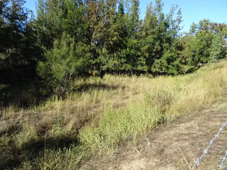 Fifth view of Homely rural property listing, Lot 30 Schneider Road, Coulson QLD 4310