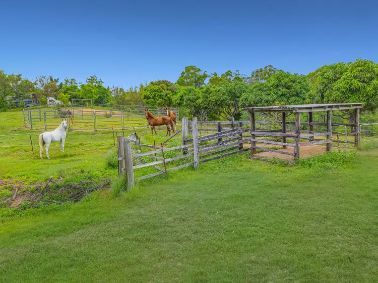 Fourth view of Homely house listing, 113 Burridge Rd, Woondum QLD 4570