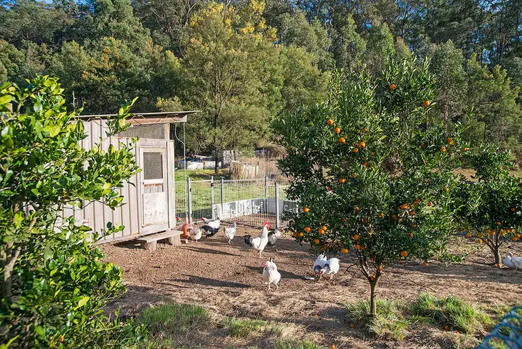 Second view of Homely rural property listing, 8478 Putty Road, Putty NSW 2330