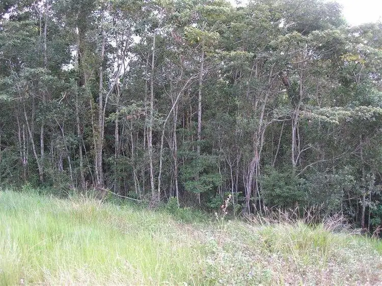 Fifth view of Homely land listing, Lot 3 Patane Court, Tully QLD 4854