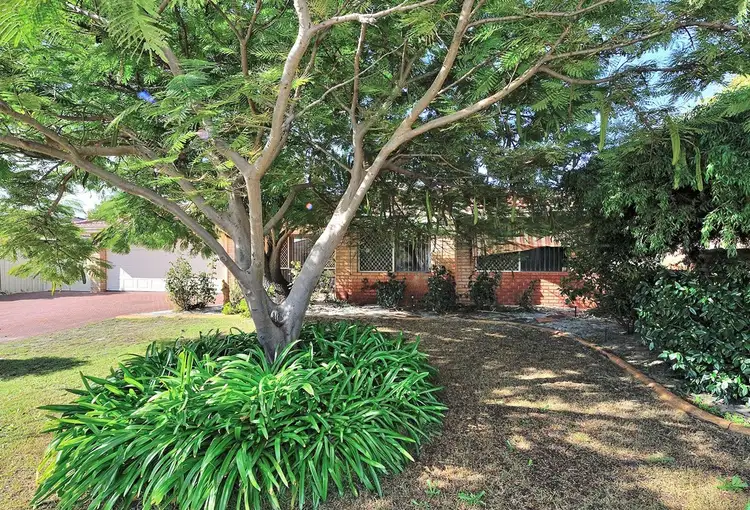 Third view of Homely house listing, 16 Seacom Ct, Morley WA 6062