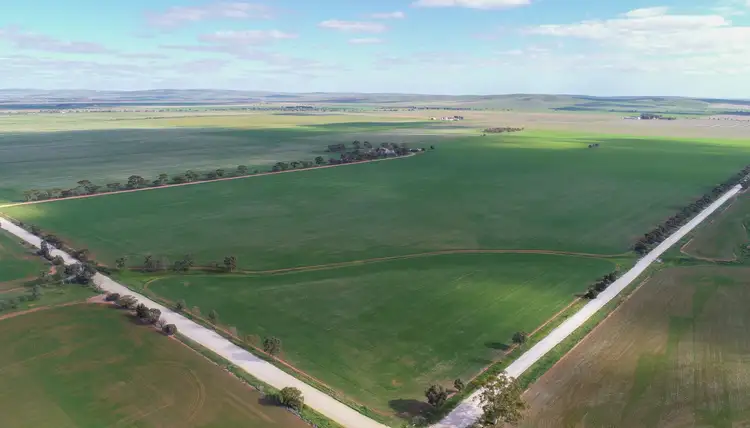 Third view of Homely rural property listing, 64 Hosking Rd, Narridy SA 5523