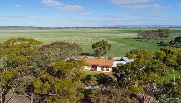 Fifth view of Homely rural property listing, 64 Hosking Rd, Narridy SA 5523