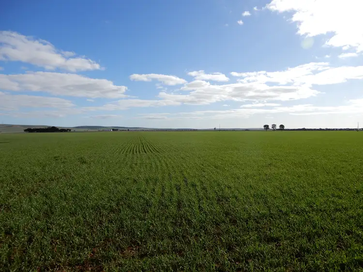 Seventh view of Homely rural property listing, 64 Hosking Rd, Narridy SA 5523