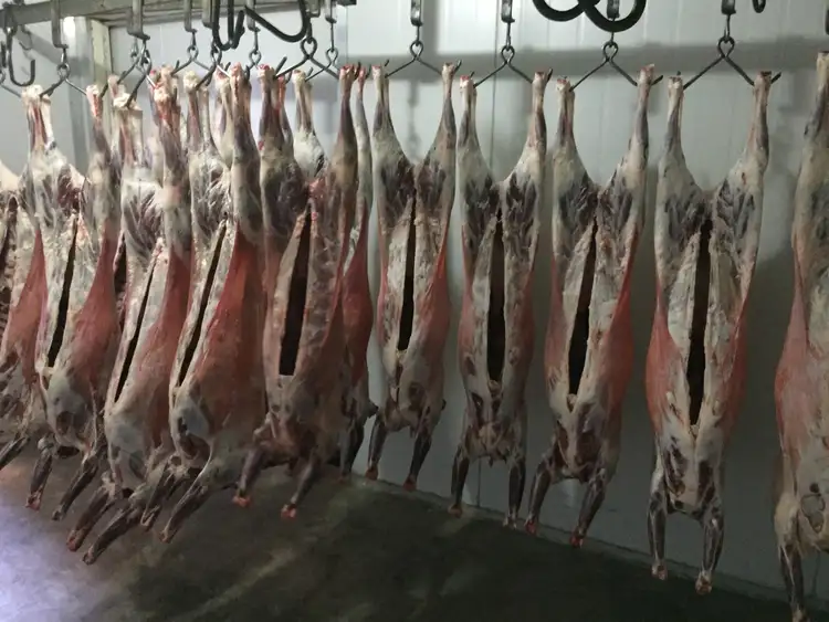 Fourth view of Homely rural property listing, 23678 Horrocks Hwy, Wilmington SA 5485