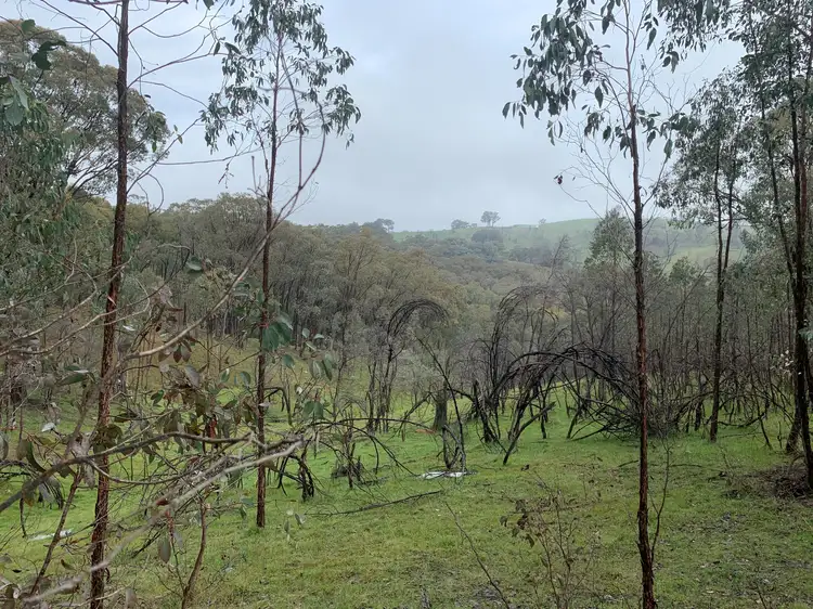 Third view of Homely rural property listing, 953 Brewers Rd, Indigo Valley VIC 3688