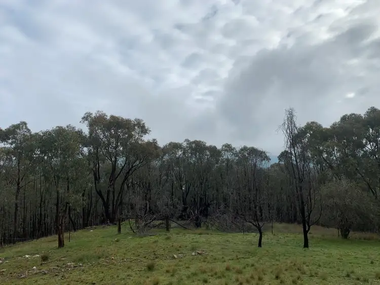 Fifth view of Homely rural property listing, 953 Brewers Rd, Indigo Valley VIC 3688